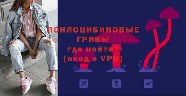 соль ск Армянск